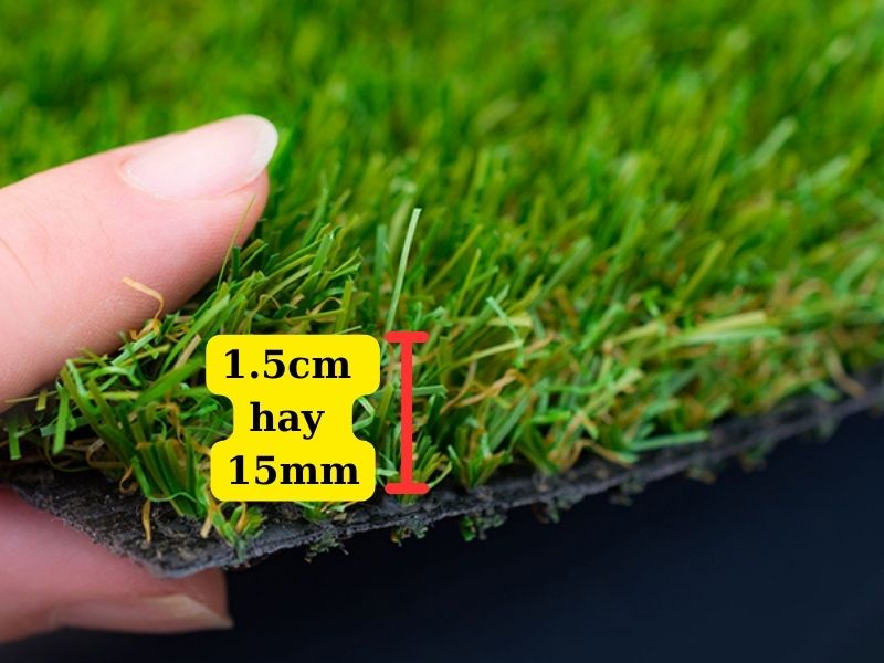 Chiều cao của cỏ loại 15mm
