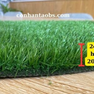 Kích thước của cỏ 2cm