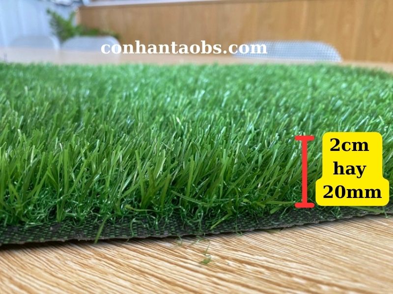 Kích thước của cỏ 2cm
