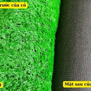 Cấu tạo của cỏ nhân tạo 15mm