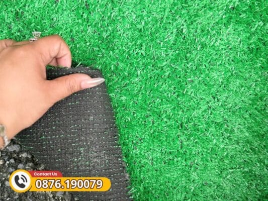 Mặt đế của cỏ 1.5cm tương đối chắc chắn