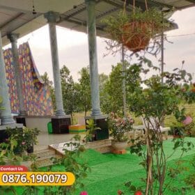 Ứng dụng của cỏ 1.5cm trong trải sàn