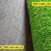 Cỏ nhân tạo loại 1cm loại thường