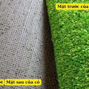 Cỏ nhân tạo loại 1cm loại thường