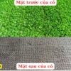 Cấu tạo của cỏ nhân tạo 1cm loại tốt