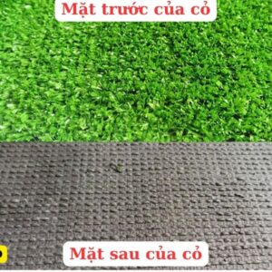 Cấu tạo của cỏ nhân tạo 1cm loại tốt