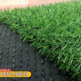 Bề mặt cỏ xanh đều màu