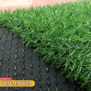 Bề mặt cỏ xanh đều màu