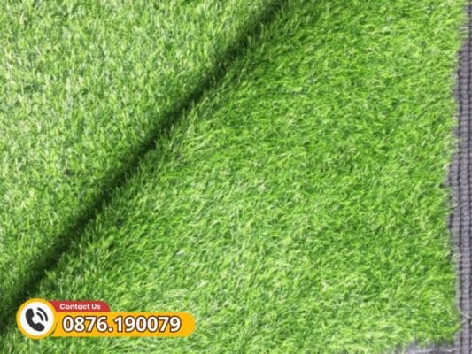 Màu sắc xanh tươi dễ dàng trang trí