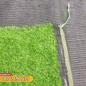 Bề mặt đế và cỏ màu sắc tươi