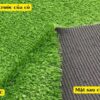 Cấu tạo của cỏ nhân tạo 2cm loại dày