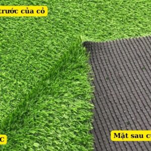 Cấu tạo của cỏ nhân tạo 2cm loại dày