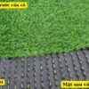 Cấu tạo của Cỏ nhân tạo 2 cm loại thường