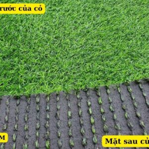 Cấu tạo của Cỏ nhân tạo 2 cm loại thường