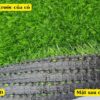 Cấu tạo của cỏ nhân tạo 2cm loại tốt