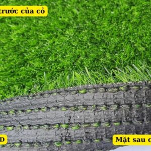 Cấu tạo của cỏ nhân tạo 2cm loại tốt