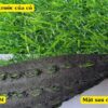 Cấu tạo chi tiết của cỏ nhân tạo 3cm loại thường
