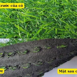 Cấu tạo chi tiết của cỏ nhân tạo 3cm loại thường