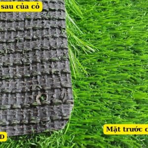 Cấu tạo của cỏ nhân tạo 3cm loại tốt