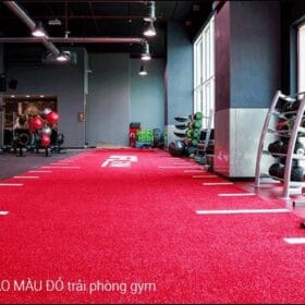 Phòng tập Gym với màu đỏ đặc sắc