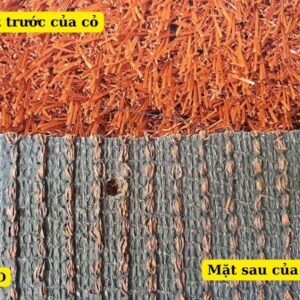 Cấu tạo của cỏ nhân tạo màu Đỏ