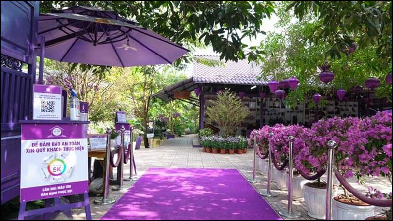 Thảm cỏ nhân tạo màu tím tuyệt đẹp