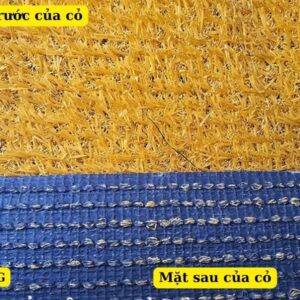 Cấu tạo của cỏ màu Vàng chất lượng cao