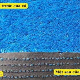 Cấu tạo của cỏ nhân tạo màu Xanh