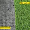 Cấu tạo của cỏ nhân tạo cho sân tập Golf