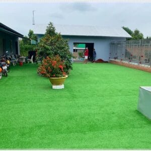 Thảm cỏ nhân tạo 1cm trải sàn