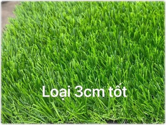 Thảm cỏ dòng 3cm loại tốt độ bền 5 năm