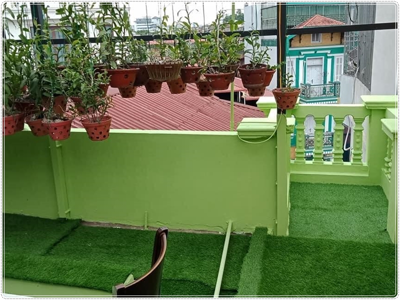Cỏ nhân tạo sân thượng trang trí vườn lan