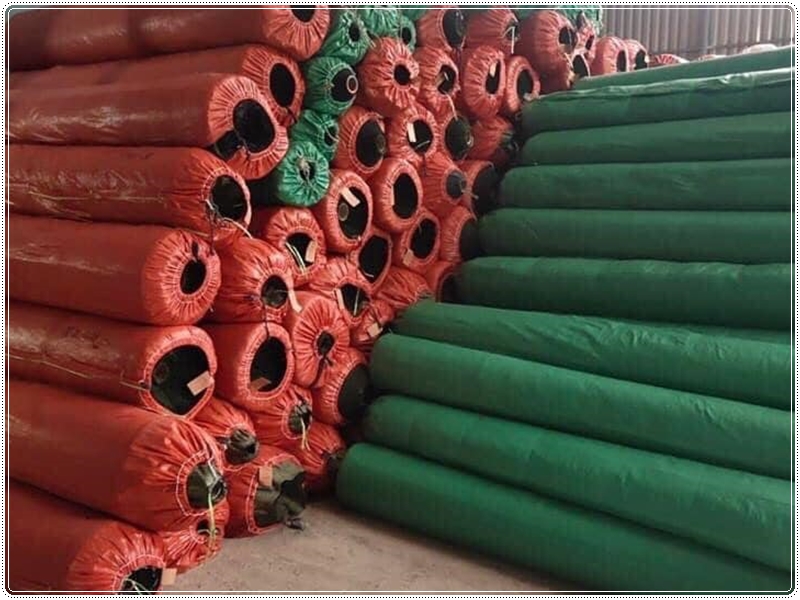 Cỏ nhân tạo BS có kho hàng lớn, giá tốt nhất hiện nay