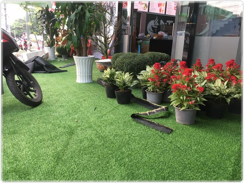 Sân vườn sạch sẽ đẹp mắt