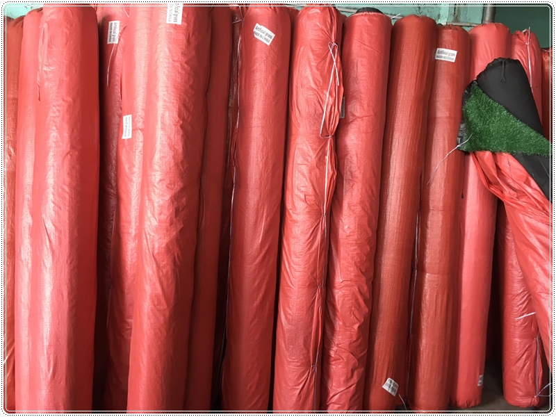 Các loại cỏ luôn sẵn sàng