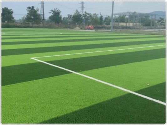 Cỏ nhân tạo sân bóng