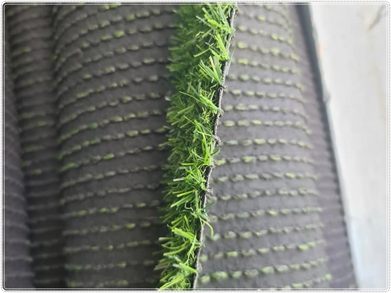 Các loại cỏ nhân tọa với giá tốt
