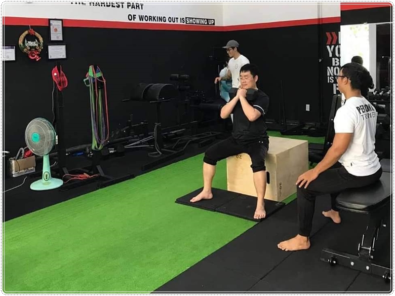 Cỏ nhân tạo thi công phòng tập GYM