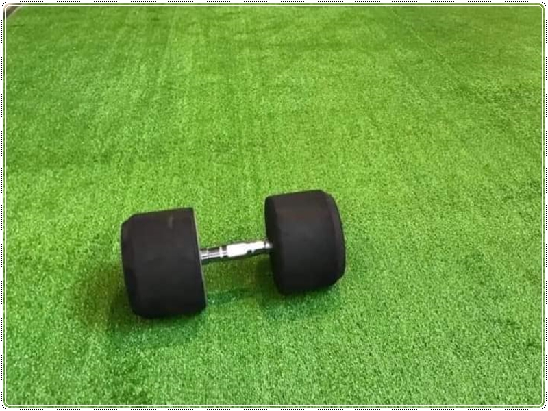 Cỏ nhân tạo thi công tại phòng tập GYM