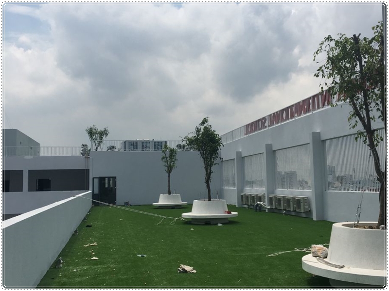 Cỏ nhân tạo trãi sân