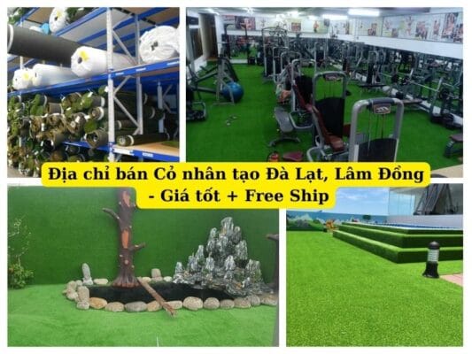 Tìm đến địa chỉ bán cỏ nhân tạo Đà Lạt Lâm Đồng giá tốt