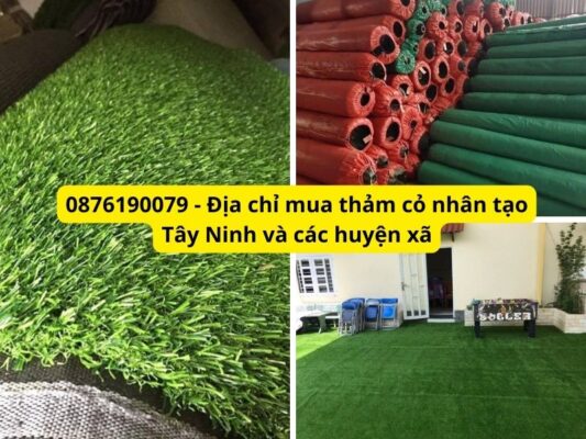 Địa chỉ mua thảm cỏ nhân tạo Tây Ninh giá tốt, Freeship