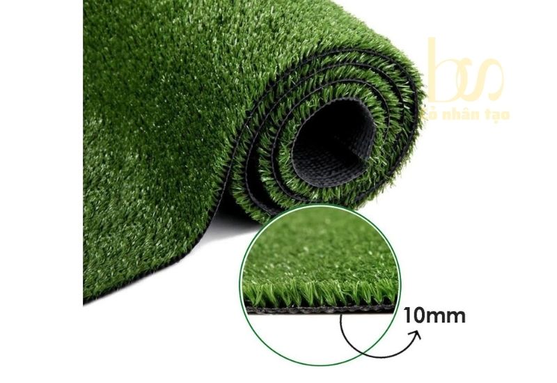 Kiểm tra chất lượng và độ cao của cỏ