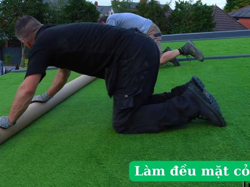 Làm đều cỏ