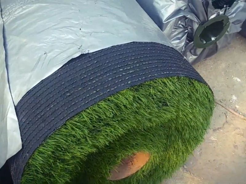 Cỏ sử dụng để trải mái nhà có thể sử dụng loại 2cm hoặc 3cm