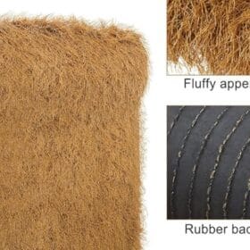 Thông số mặt trước và sau của rơm