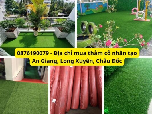 Địa chỉ mua thảm cỏ nhân tạo An Giang giá tốt