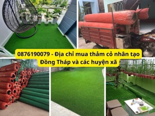 Địa chỉ mua thảm cỏ nhân tạo Đồng Tháp giá rẻ, uy tín