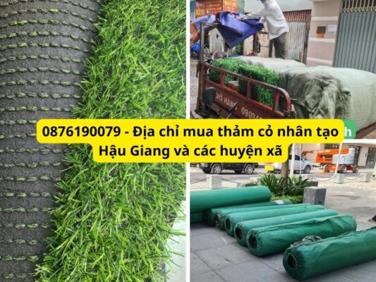 Tìm đến địa chỉ mua thảm cỏ nhân tạo Hậu Giang giá tốt