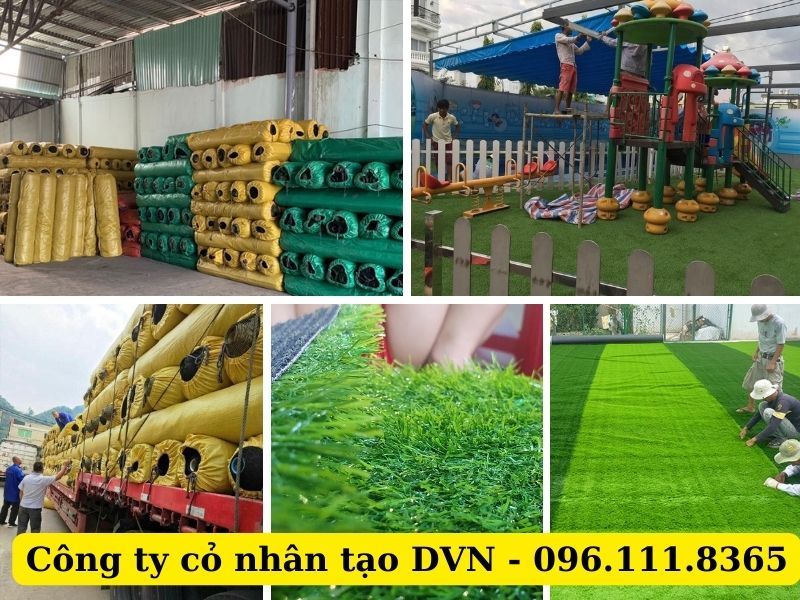 Công ty cỏ nhân tạo DVN - Đơn vị cung cấp cỏ hàng đầu